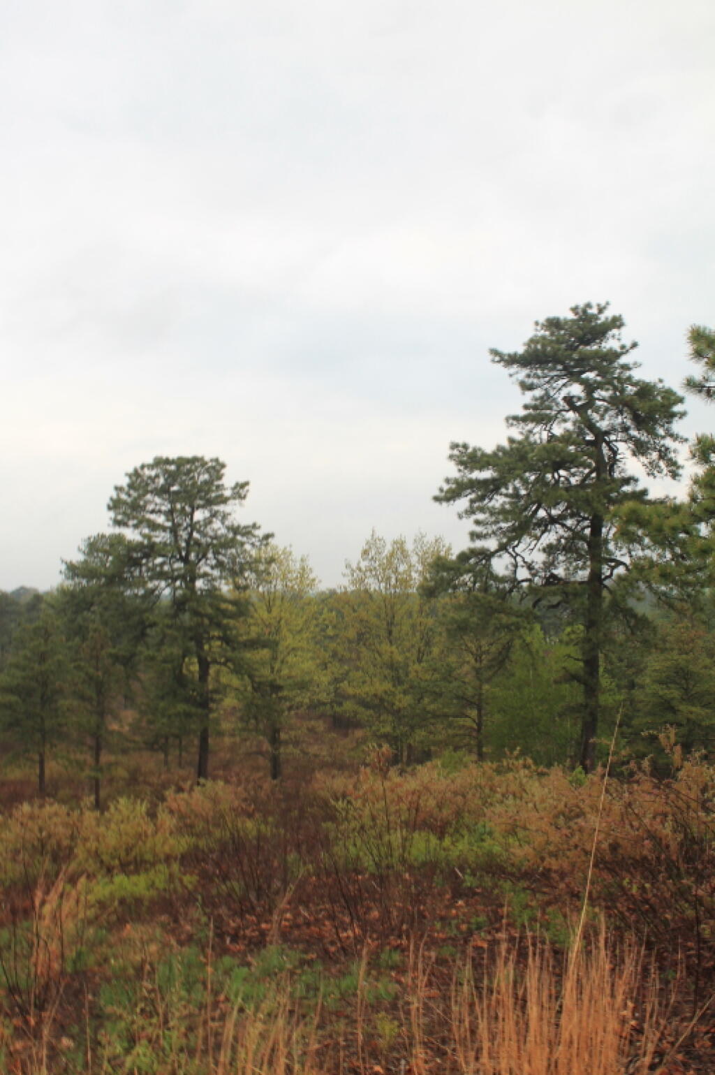 Photo: Photo.2014.05.15 19.57.21