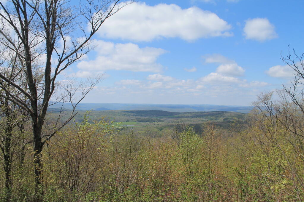 Photo: Springtime Photo: Springtime