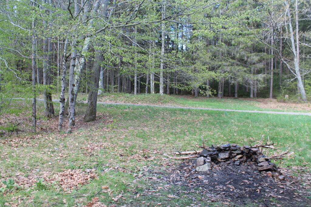 Photo: Duck Pond Campsite Photo: Duck Pond Campsite