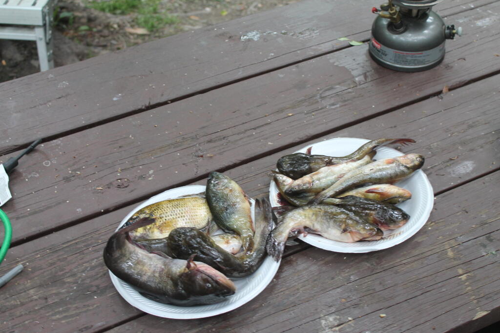 Photo: Been Fishing?