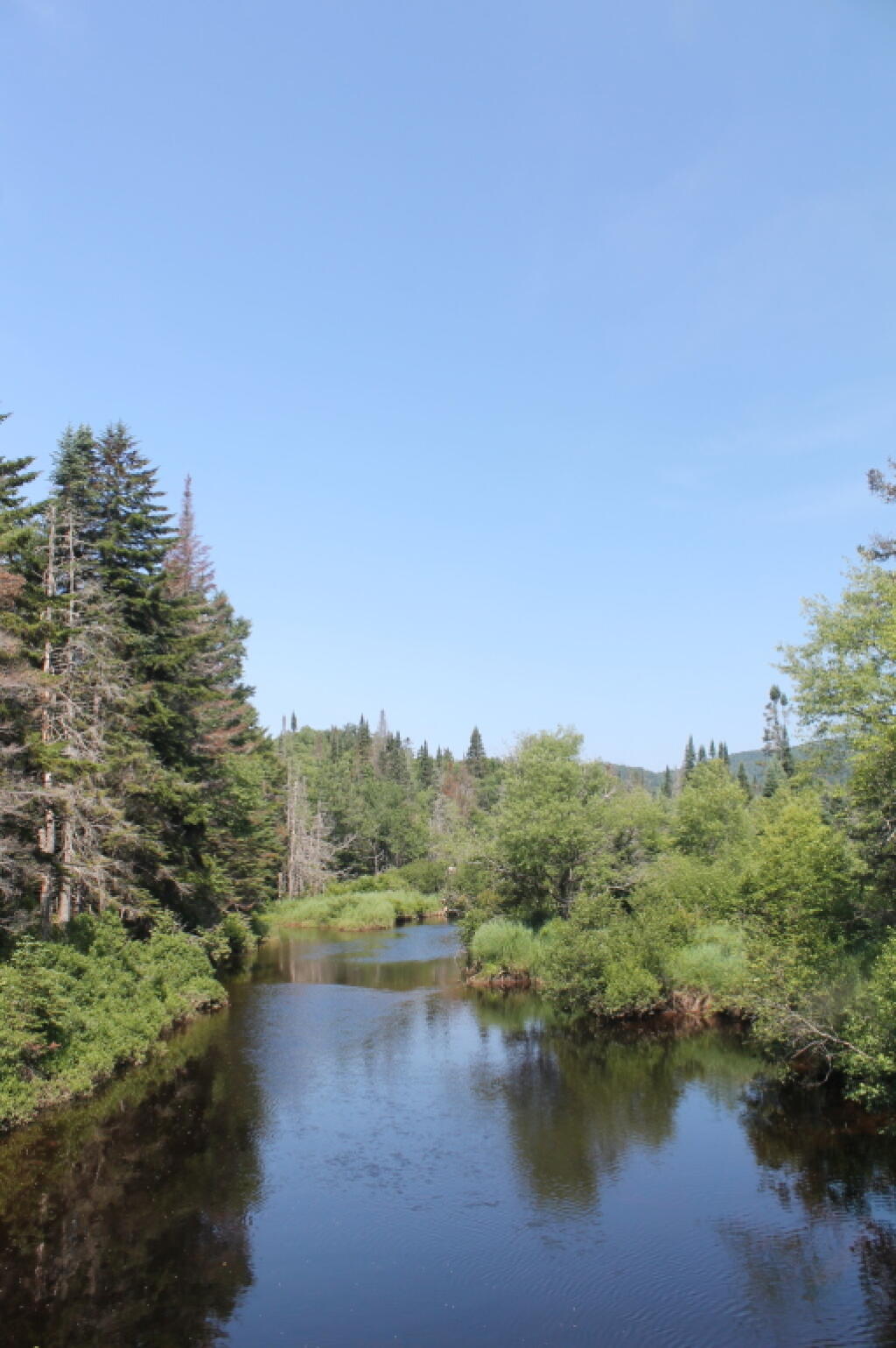 Photo: West Branch of the East Canada Creek Photo: West Branch of the East Canada Creek