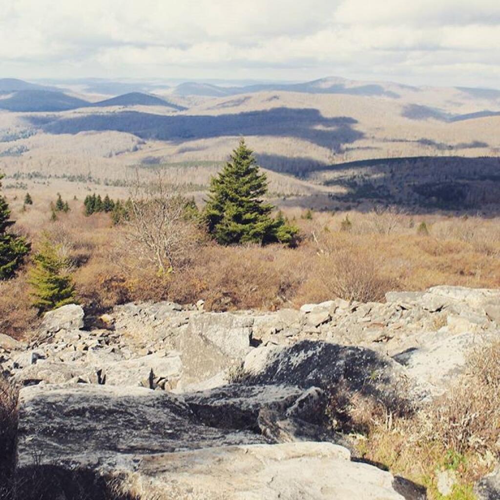 Photo: From Spruce Knob Mountain. Highest elevation in WV, 4863 elev. Photo: From Spruce Knob Mountain. Highest elevation in WV, 4863 elev.