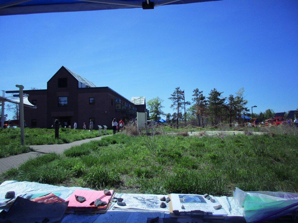 Photo: Save The Pine Bush Table At The Lupine Fest Photo: Save The Pine Bush Table At The Lupine Fest