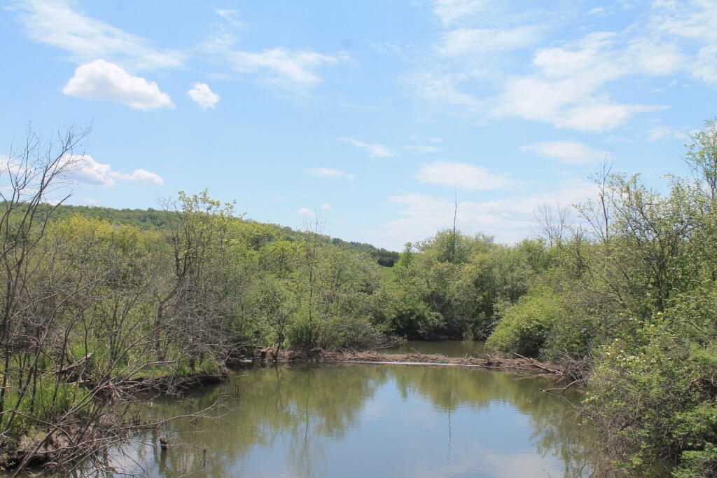 Photo: South of the Railroad Bridge