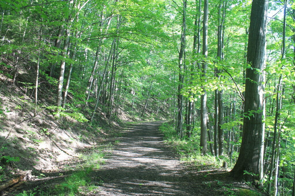 Photo: Old Canastota Railroad Photo: Old Canastota Railroad