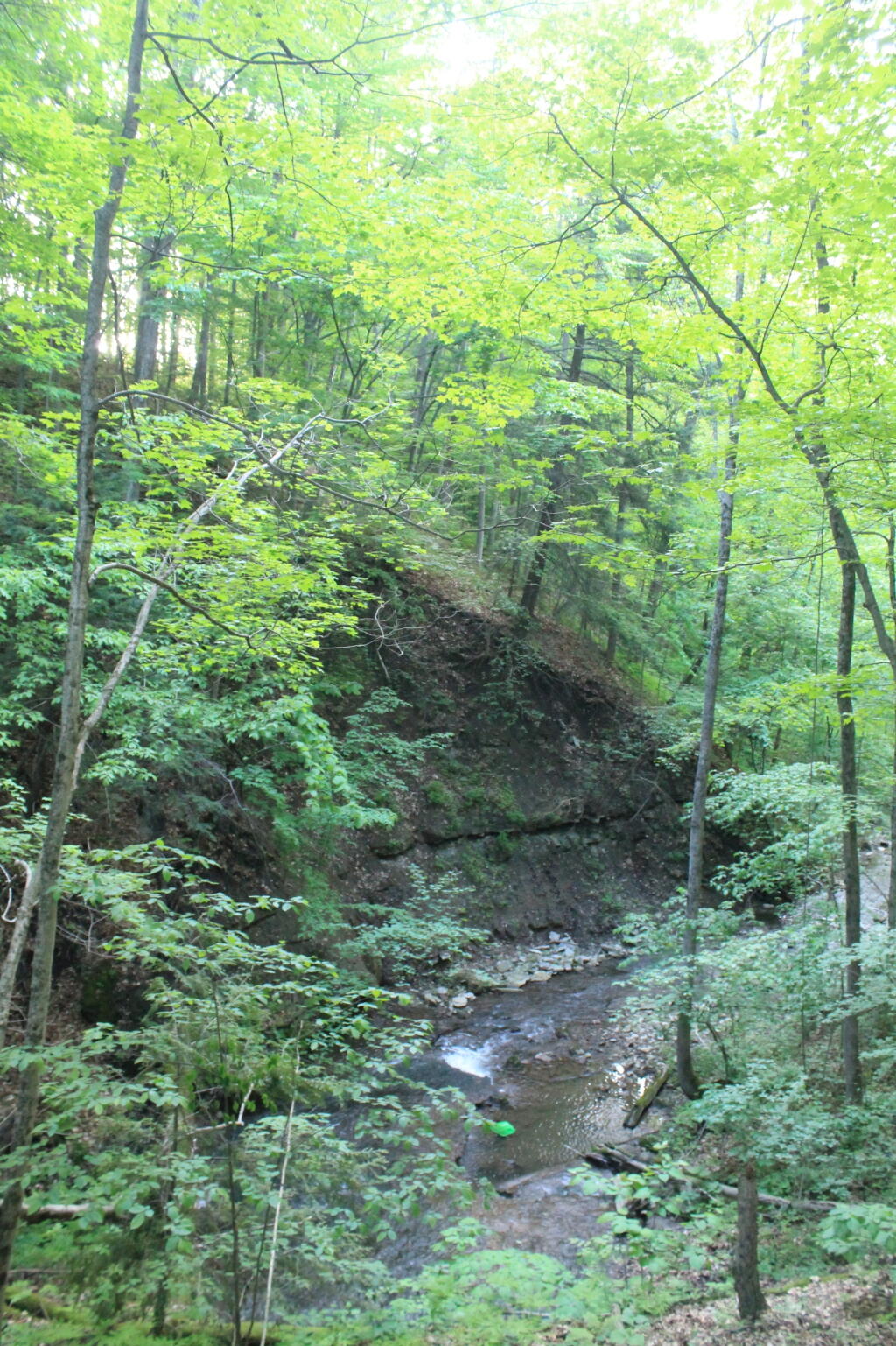 Photo: Canastota Creek Gorge from Railway Photo: Canastota Creek Gorge from Railway