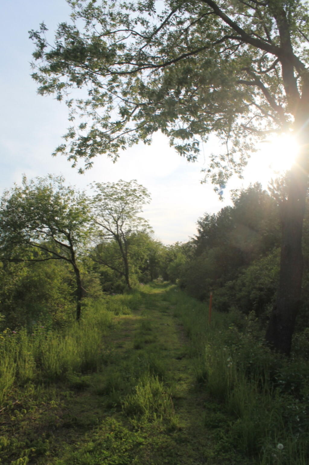Photo: Setting Sun Photo: Setting Sun