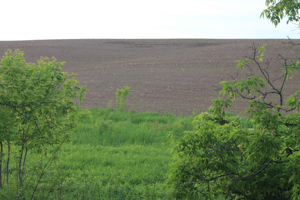 Photo: Farm Field Along the Trail Photo: Farm Field Along the Trail