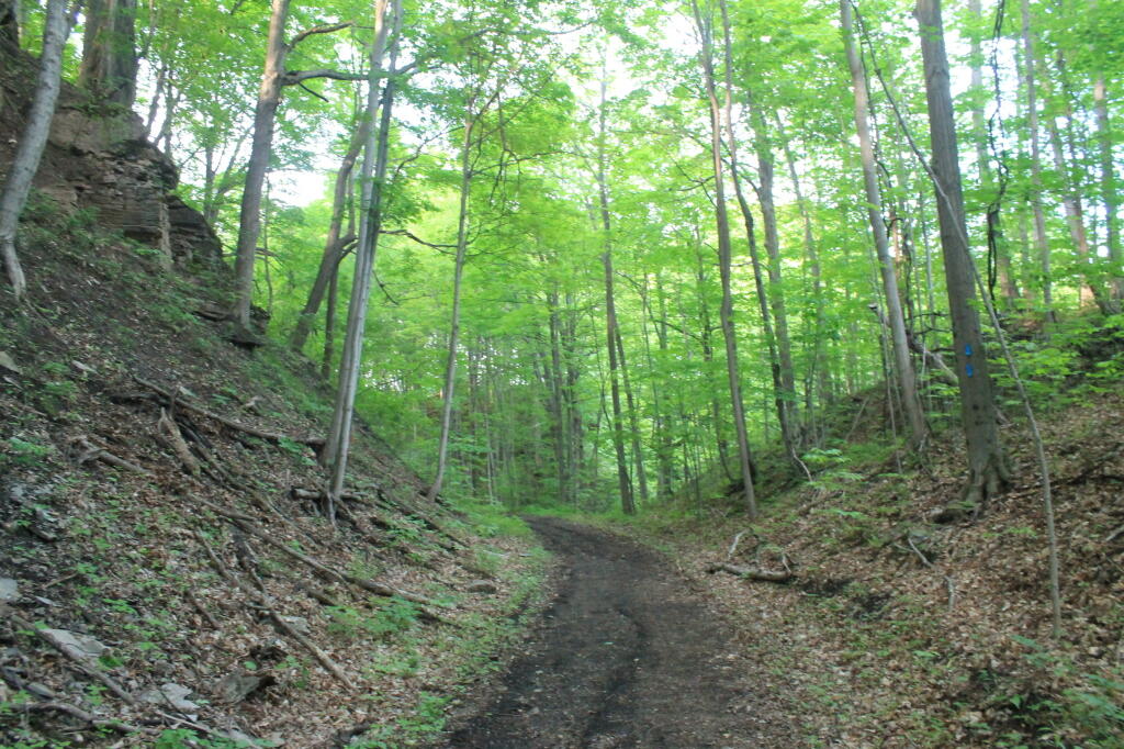 Photo: Old Railway Bed Cuts Through Gorge Photo: Old Railway Bed Cuts Through Gorge