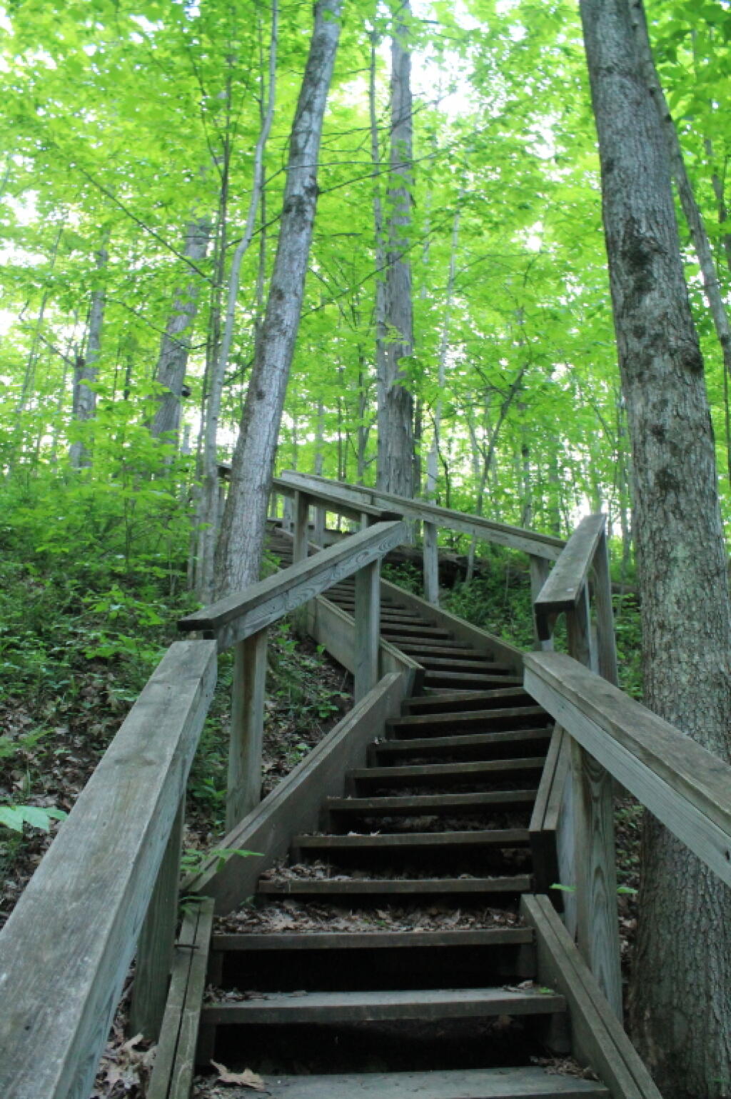 Photo: Stairway Out of Canastota Gorge Photo: Stairway Out of Canastota Gorge