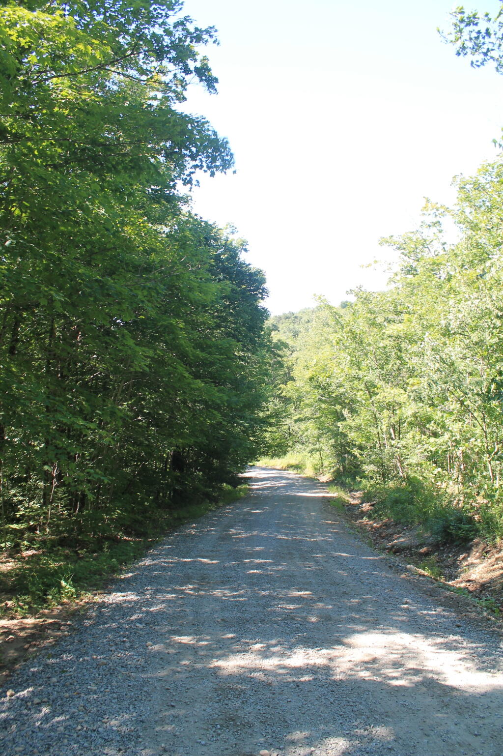 Photo: Cedar River Limekiln Lake Road Photo: Cedar River Limekiln Lake Road