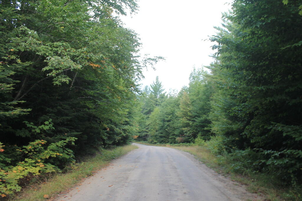 Photo: Moose River Road Photo: Moose River Road