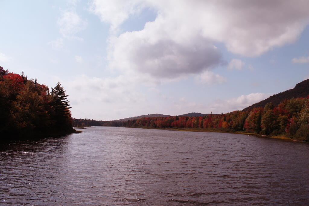 Photo: Cedar River Flow Photo: Cedar River Flow