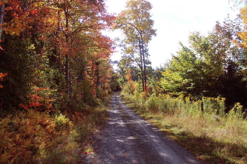 Photo: Burnt Hill Road Photo: Burnt Hill Road