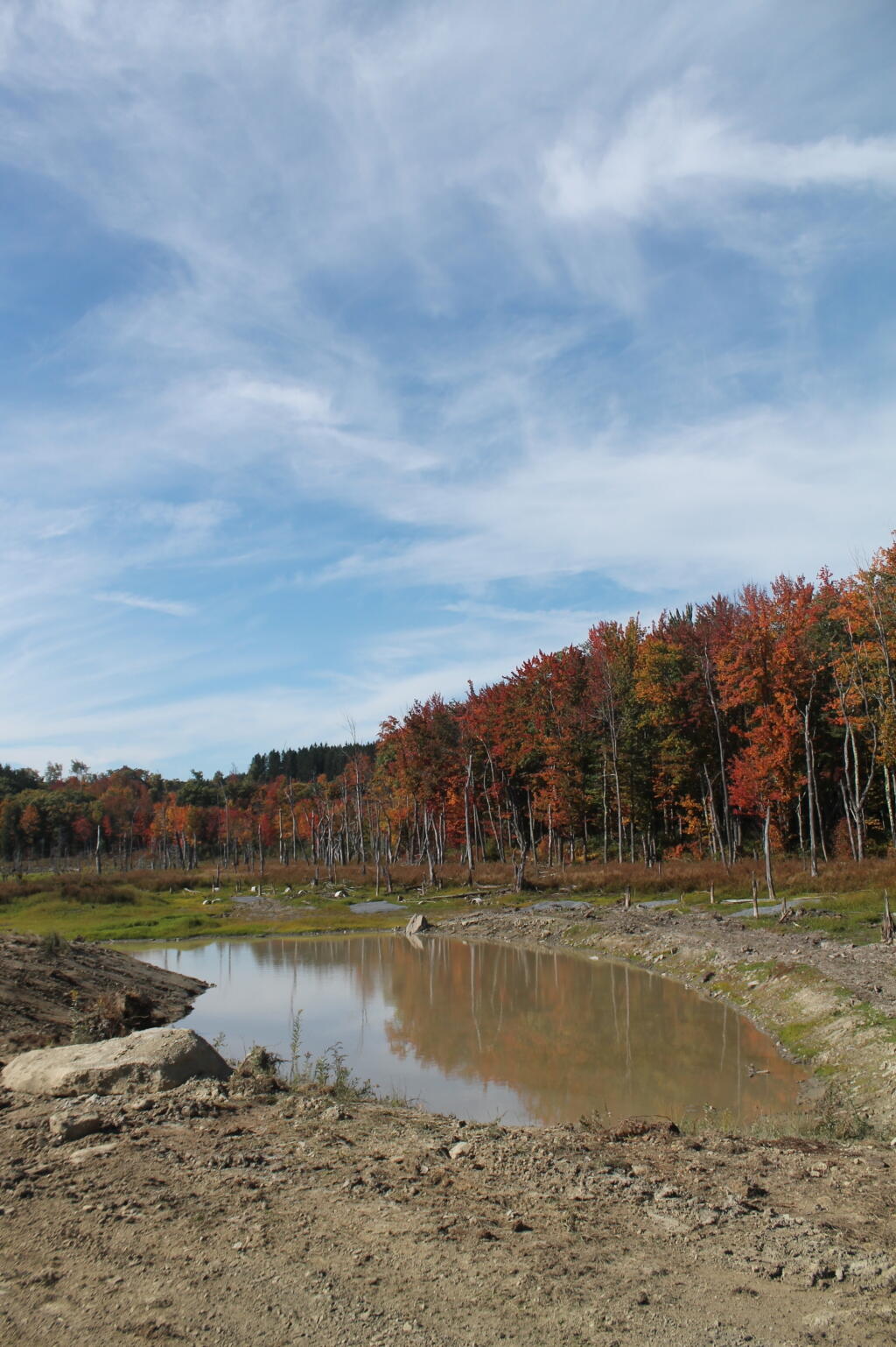 Photo: Drained Duck Pond Photo: Drained Duck Pond