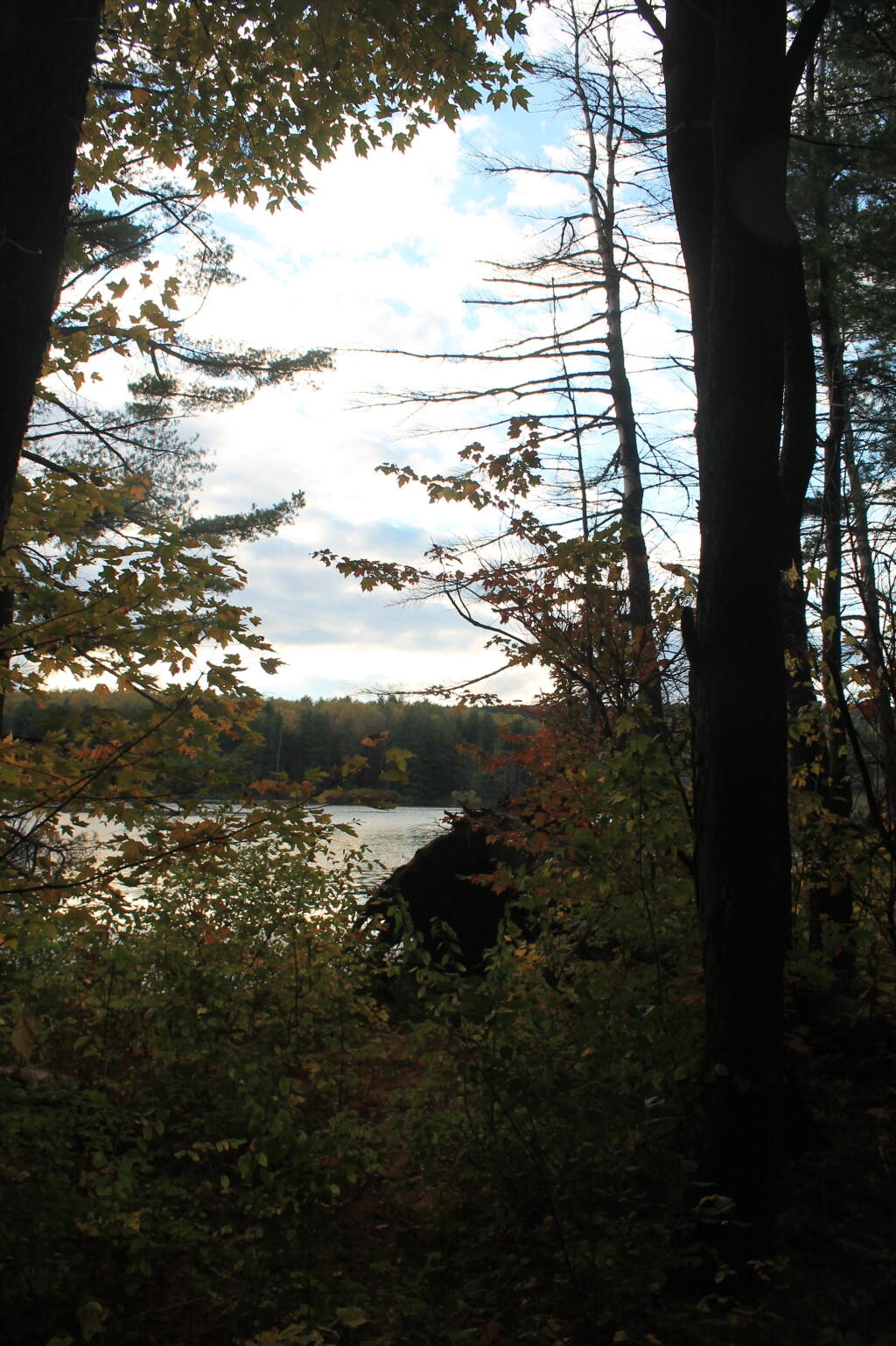 Photo: Sitting down at the creek with the dog Photo: Sitting down at the creek with the dog