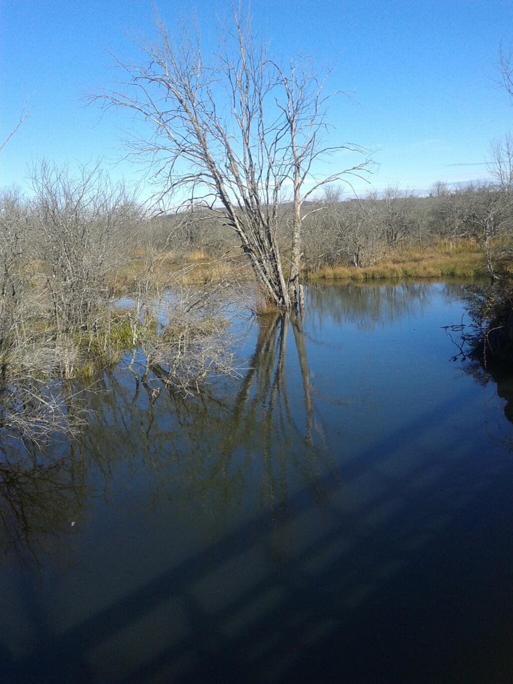 Photo: Spent many a lunch break fishing here