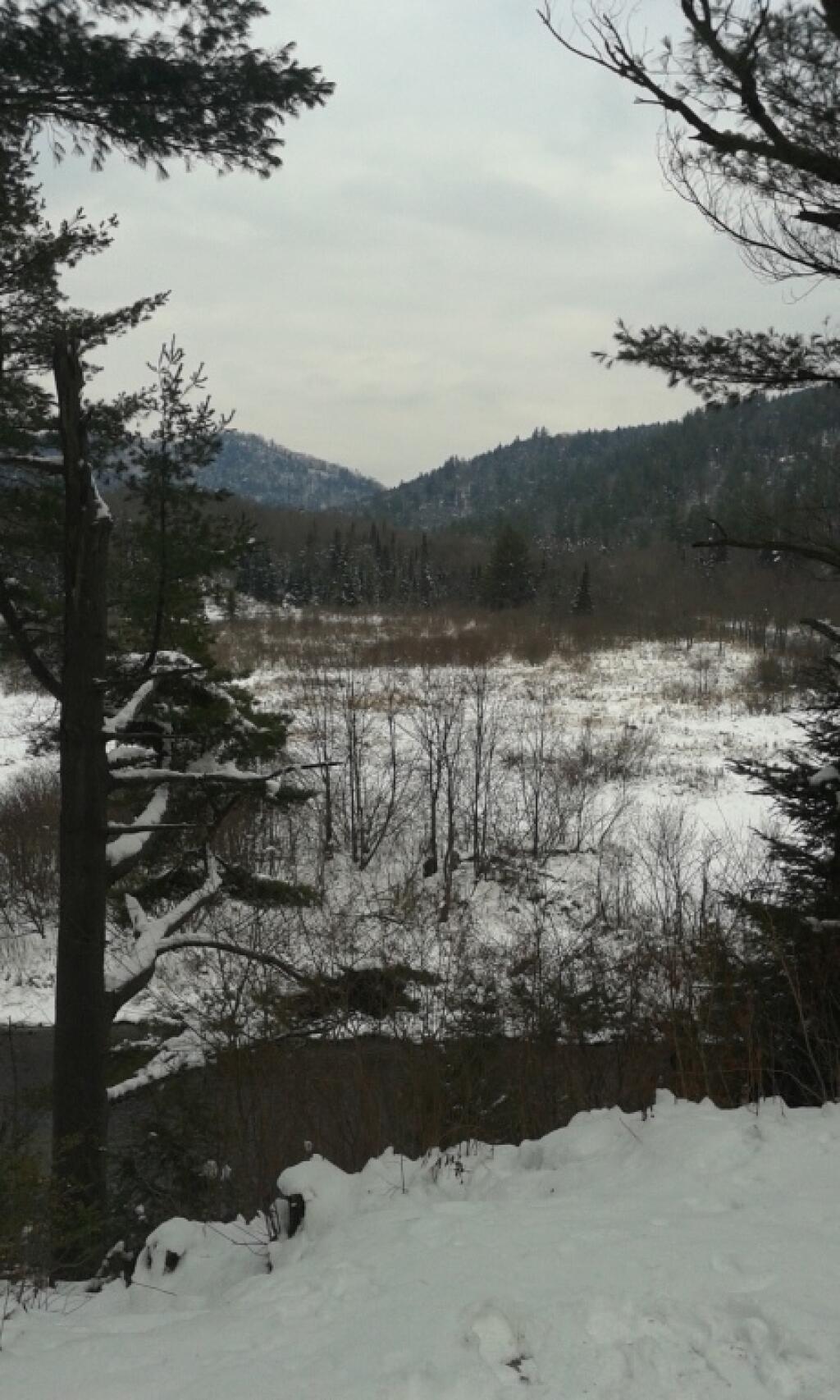 Photo: Winter in the East Branch Gorge Photo: Winter in the East Branch Gorge