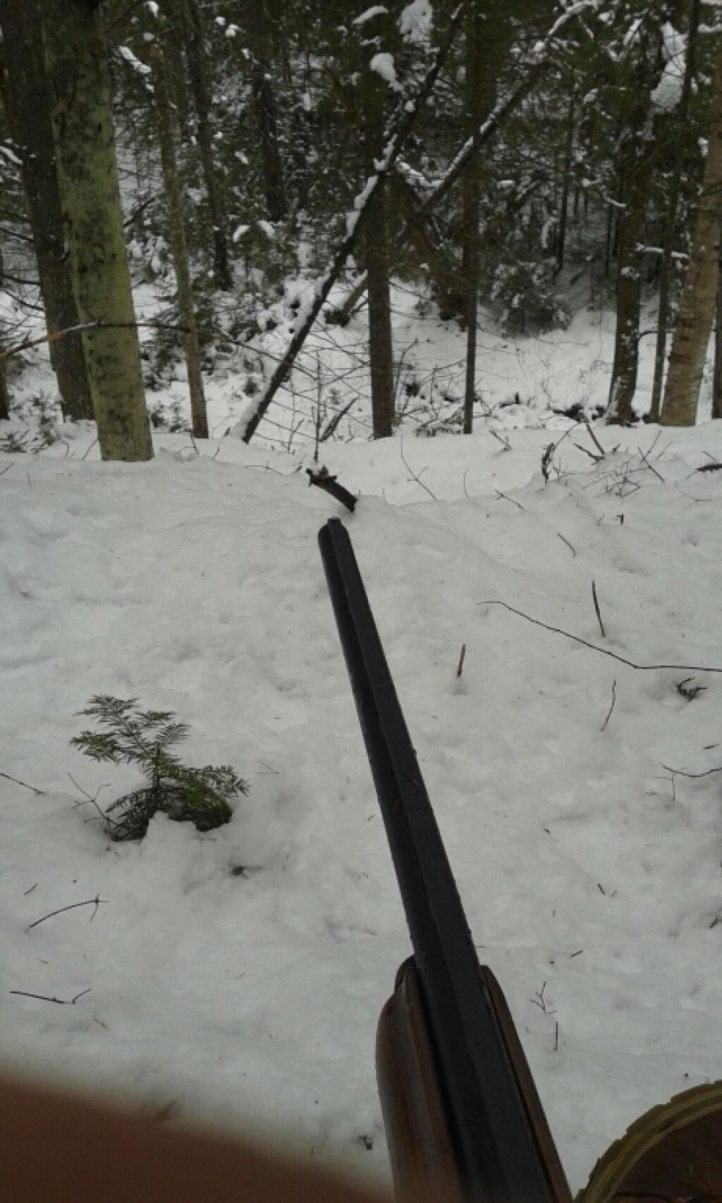 Photo: Winter-time hunting on the East Branch Photo: Winter-time hunting on the East Branch