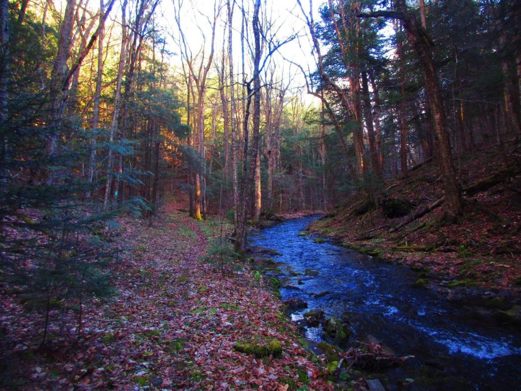 Photo: Cole Brook Photo: Cole Brook