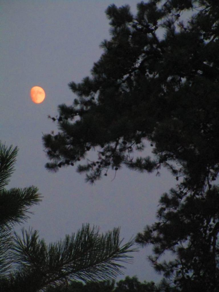Photo: Untitled Photo: Untitled