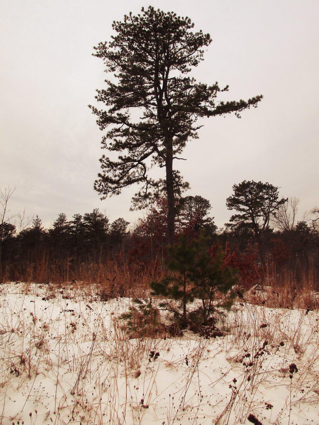 Photo: Quiet Photo: Quiet