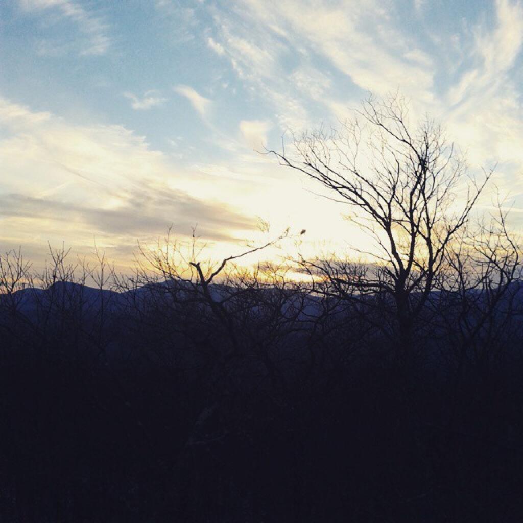 Photo: Evening color Photo: Evening color