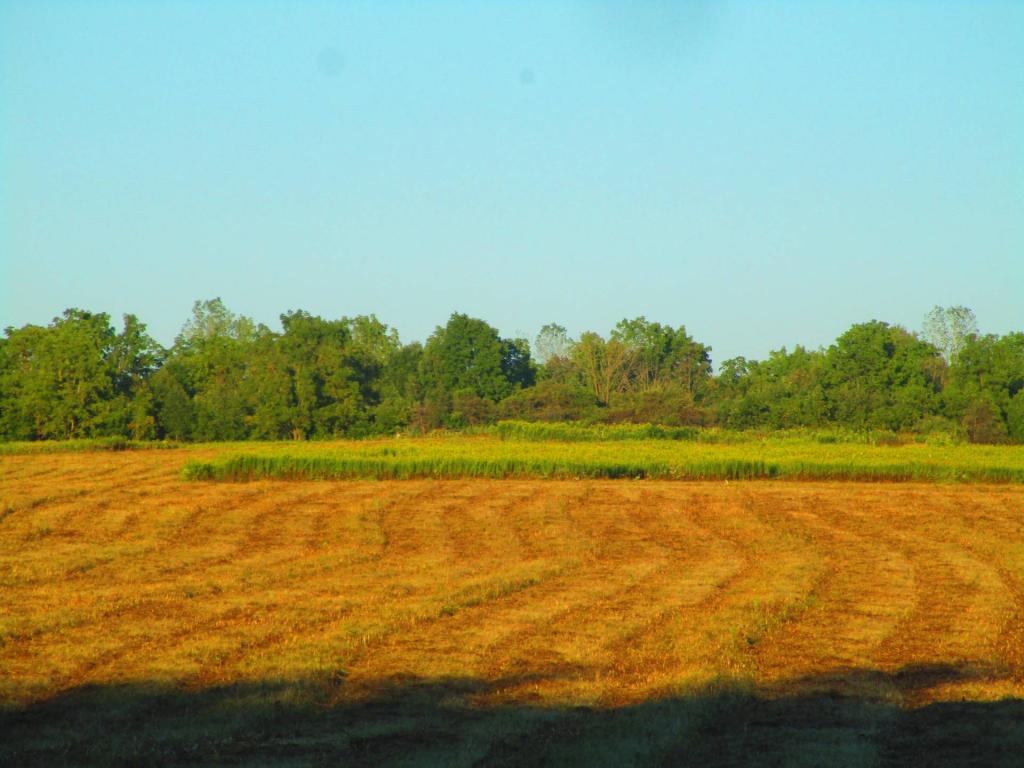Photo: Untitled Photo: Untitled