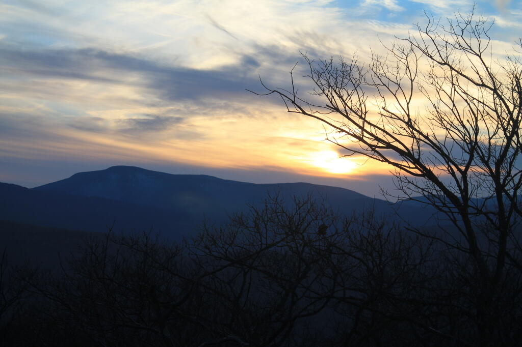 Photo: Tree Next to Sunset Photo: Tree Next to Sunset