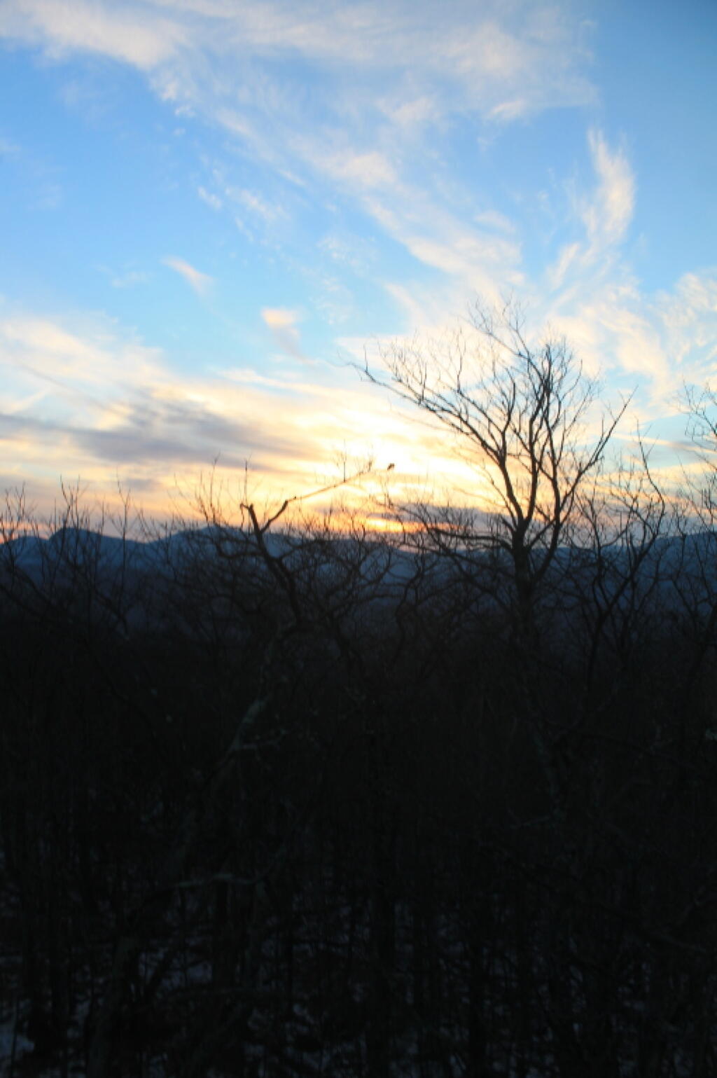 Photo: Colors of the Afternoon Photo: Colors of the Afternoon