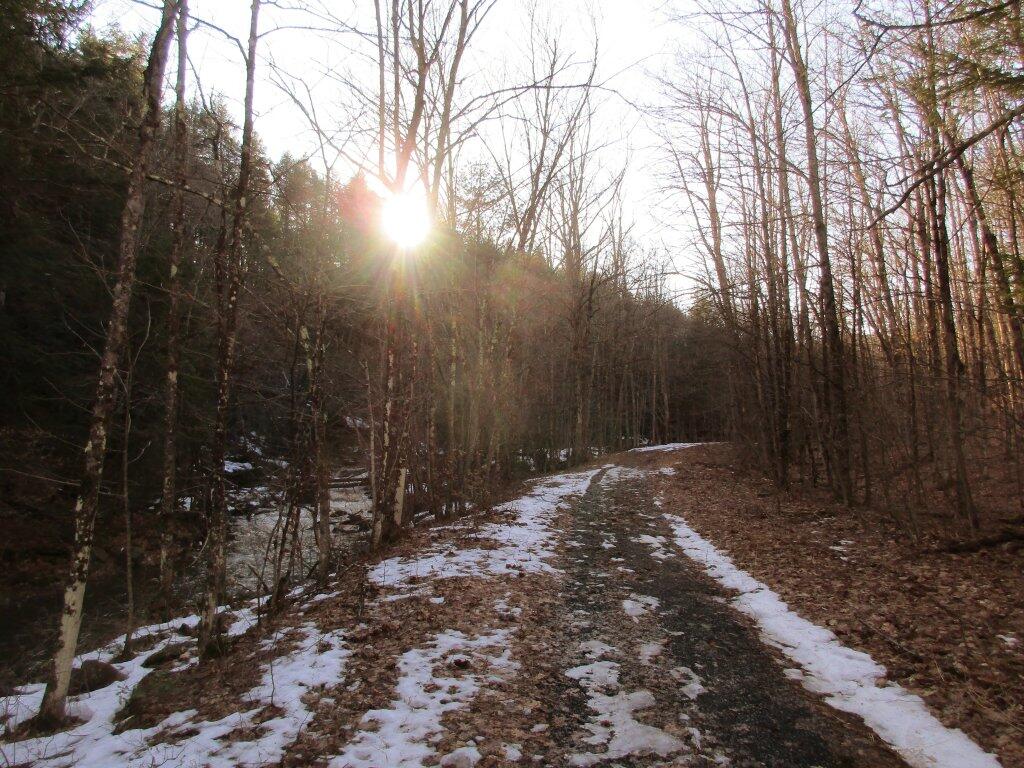 Photo: Old Partridge Run Road