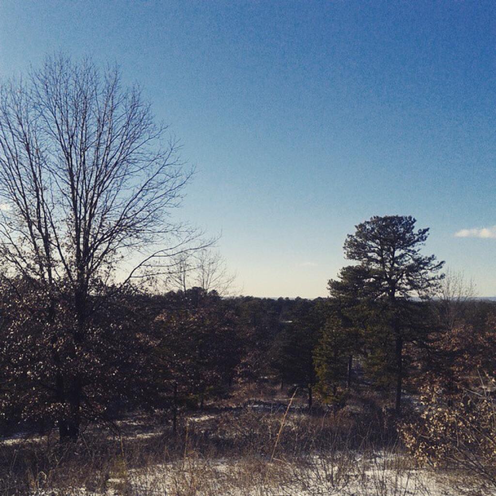 Photo: Frigid afternoon Photo: Frigid afternoon