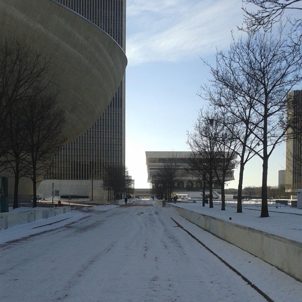 Photo: January in Albany Photo: January in Albany