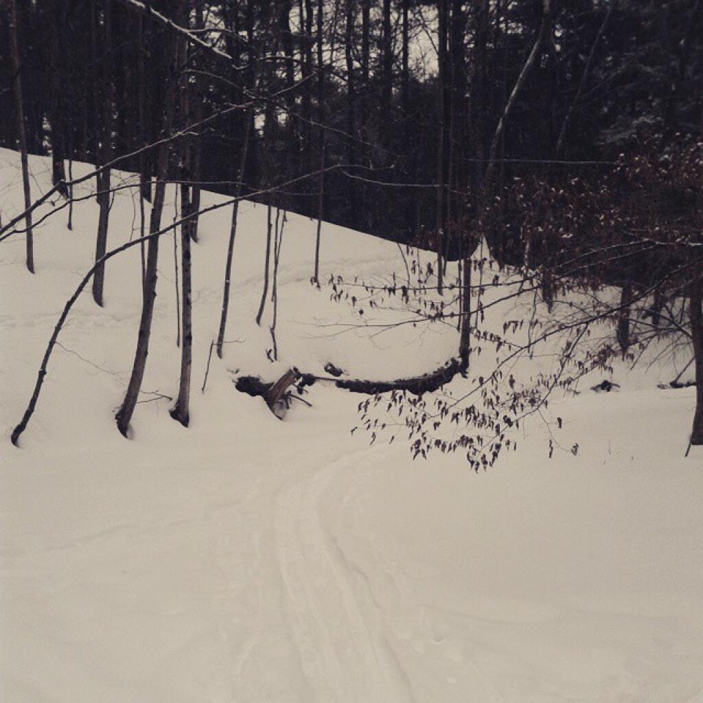 Photo: This is the first winter I have ever been able to ski down the Vlomans Kill Photo: This is the first winter I have ever been able to ski down the Vlomans Kill