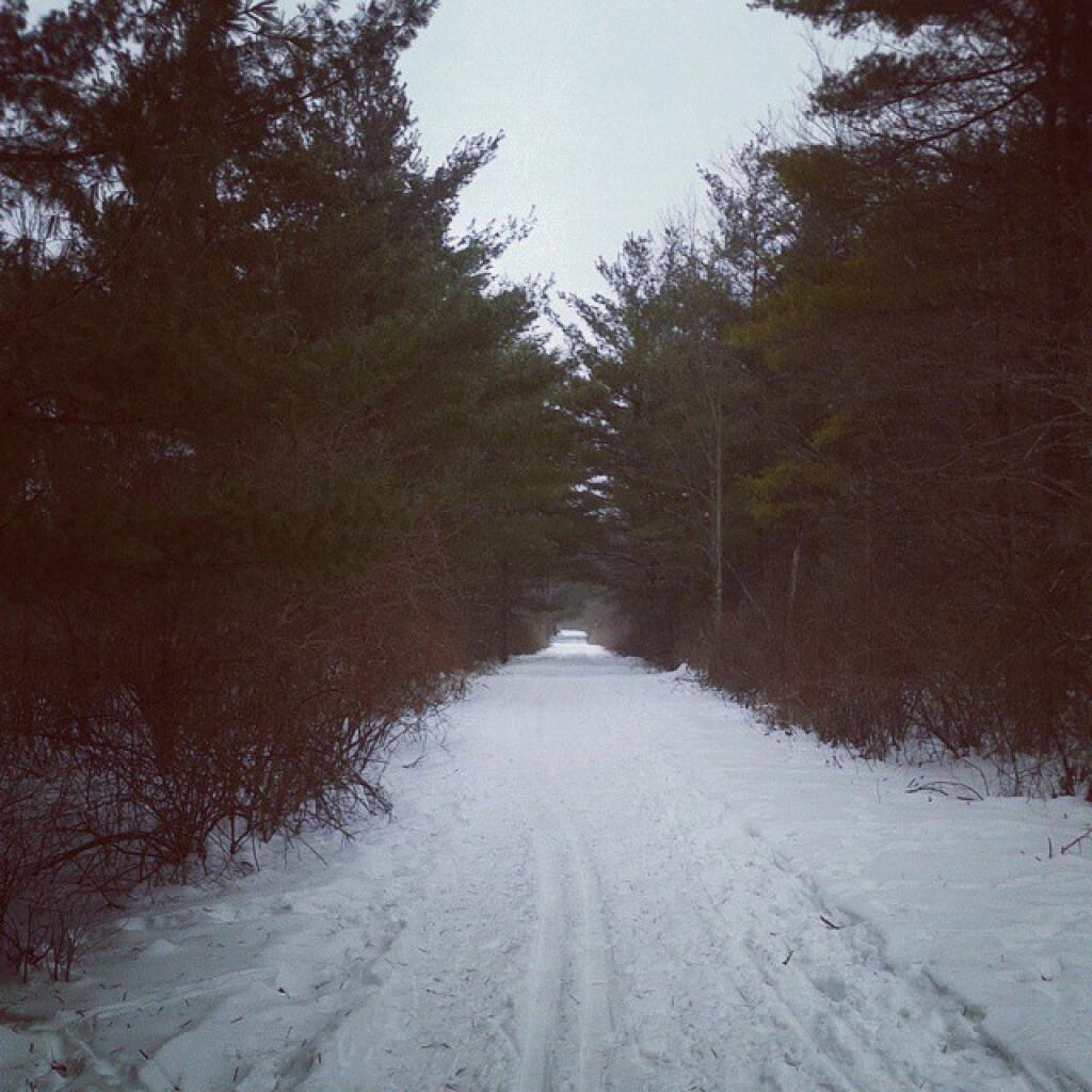 Photo: No crowds today Photo: No crowds today