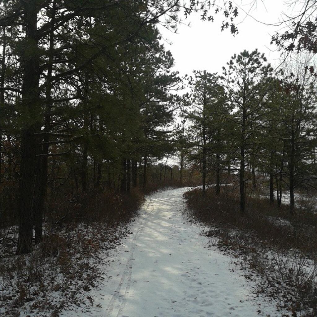 Photo: Trail Photo: Trail