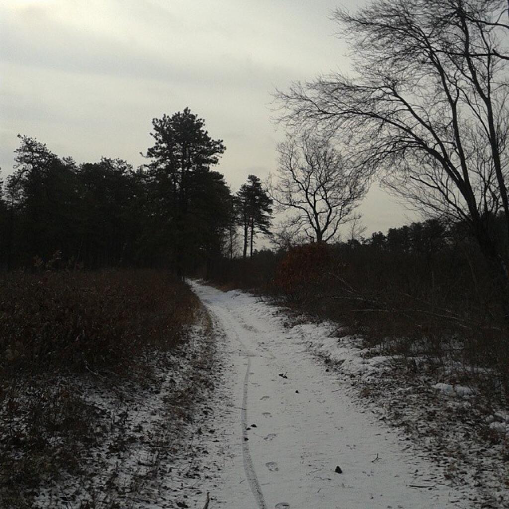 Photo: Trail along Thruway Photo: Trail along Thruway