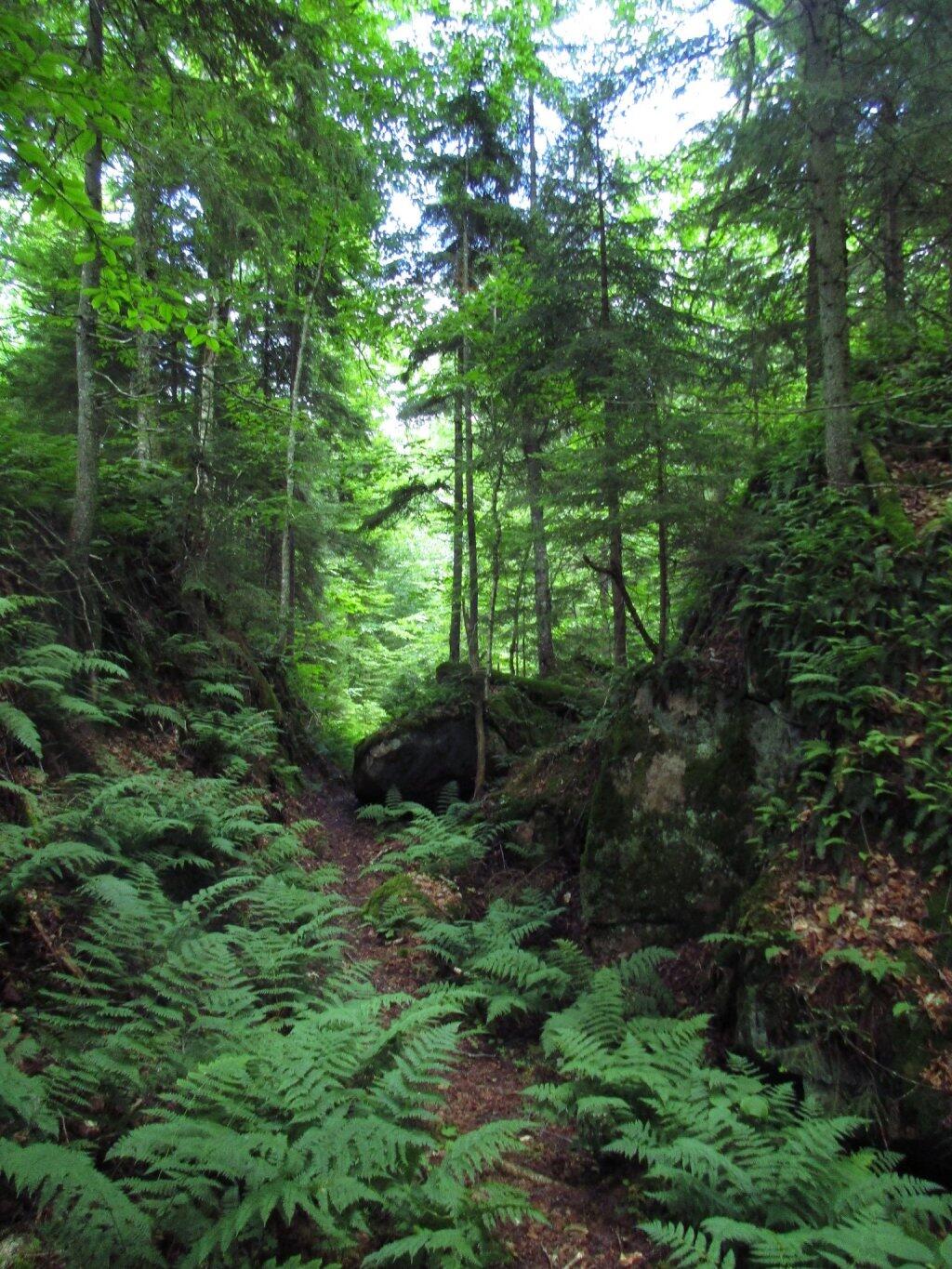 Photo: Narrow Notch Through The Mountains Photo: Narrow Notch Through The Mountains