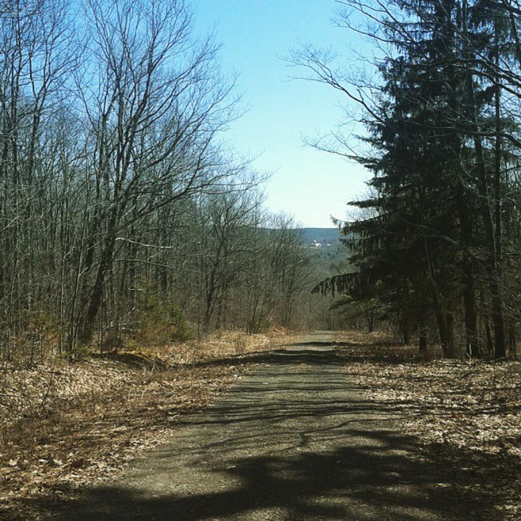 Photo: Gifford Hollow Photo: Gifford Hollow