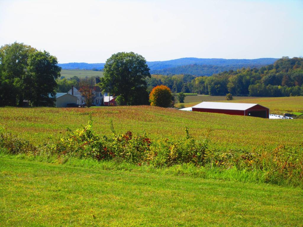 Photo: Corn fields and Hills of the Taconics Photo: Corn fields and Hills of the Taconics