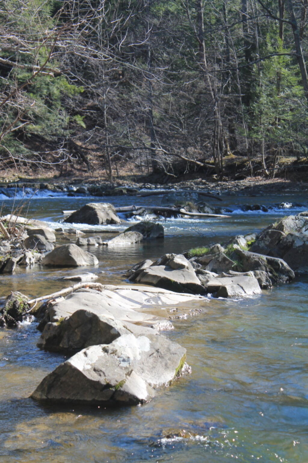 Photo: Low Hannacroix Creek Photo: Low Hannacroix Creek