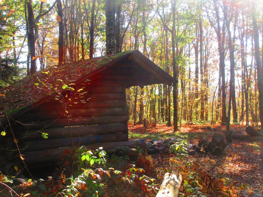 Photo: Chance of Thunder Lean-To