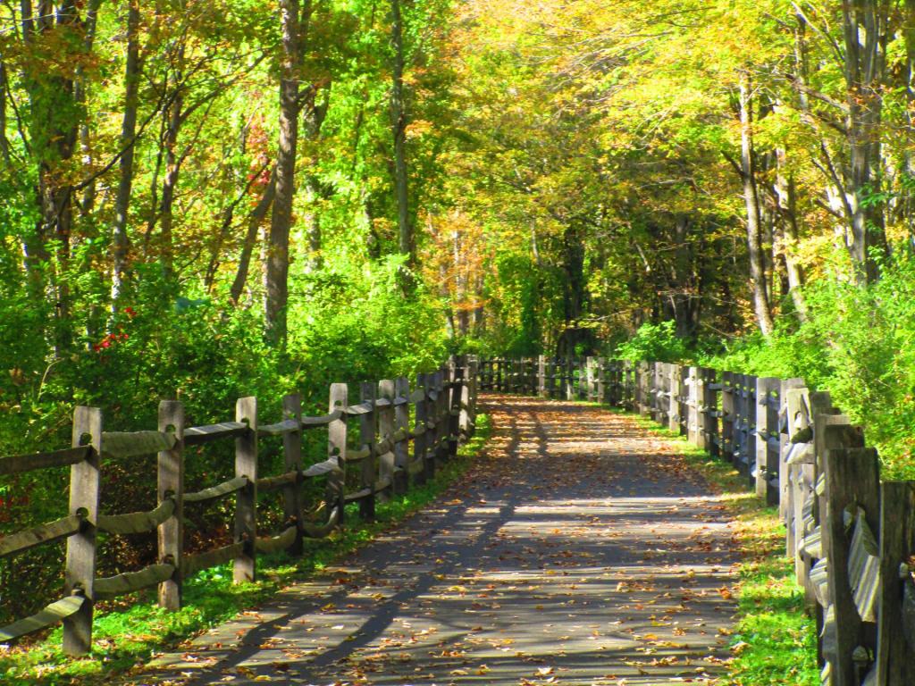 Photo: Trail Photo: Trail