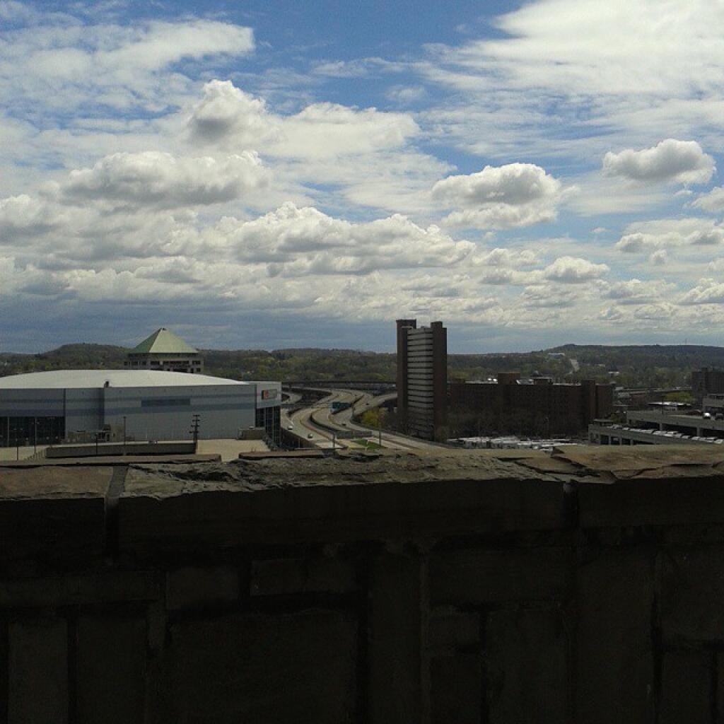 Photo: Starting to green up in the city Photo: Starting to green up in the city