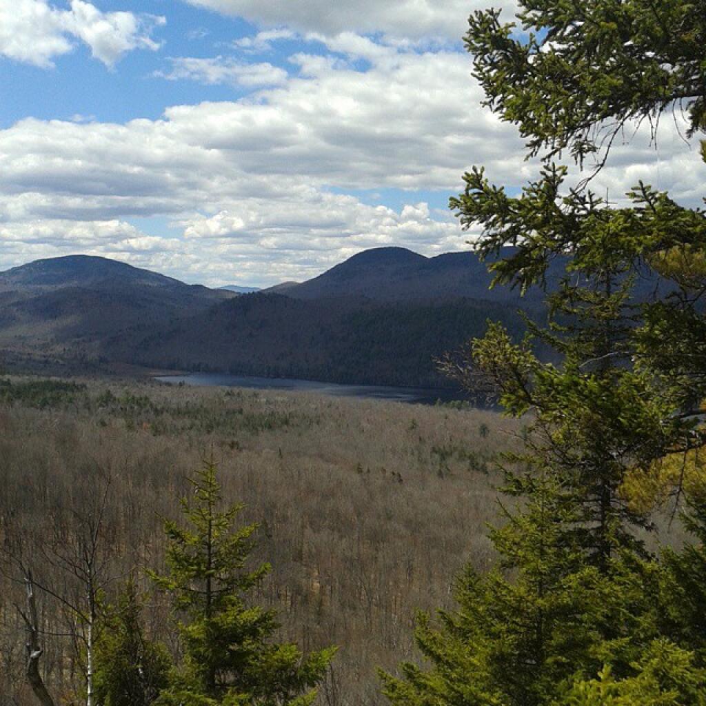 Photo: At Balm of Gilead