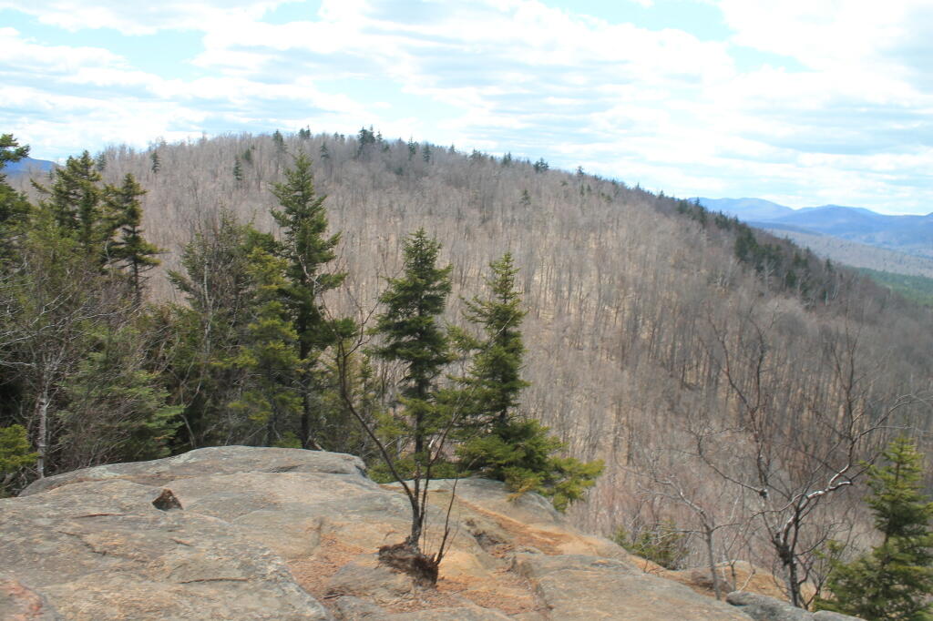 Photo: West Photo: West