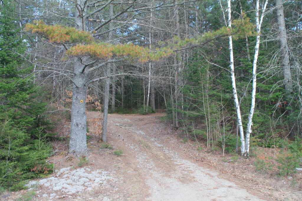 Photo: Driveway to Campsite Photo: Driveway to Campsite