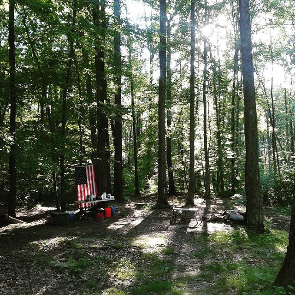 Photo: Camping in the Allegheny Woods Photo: Camping in the Allegheny Woods