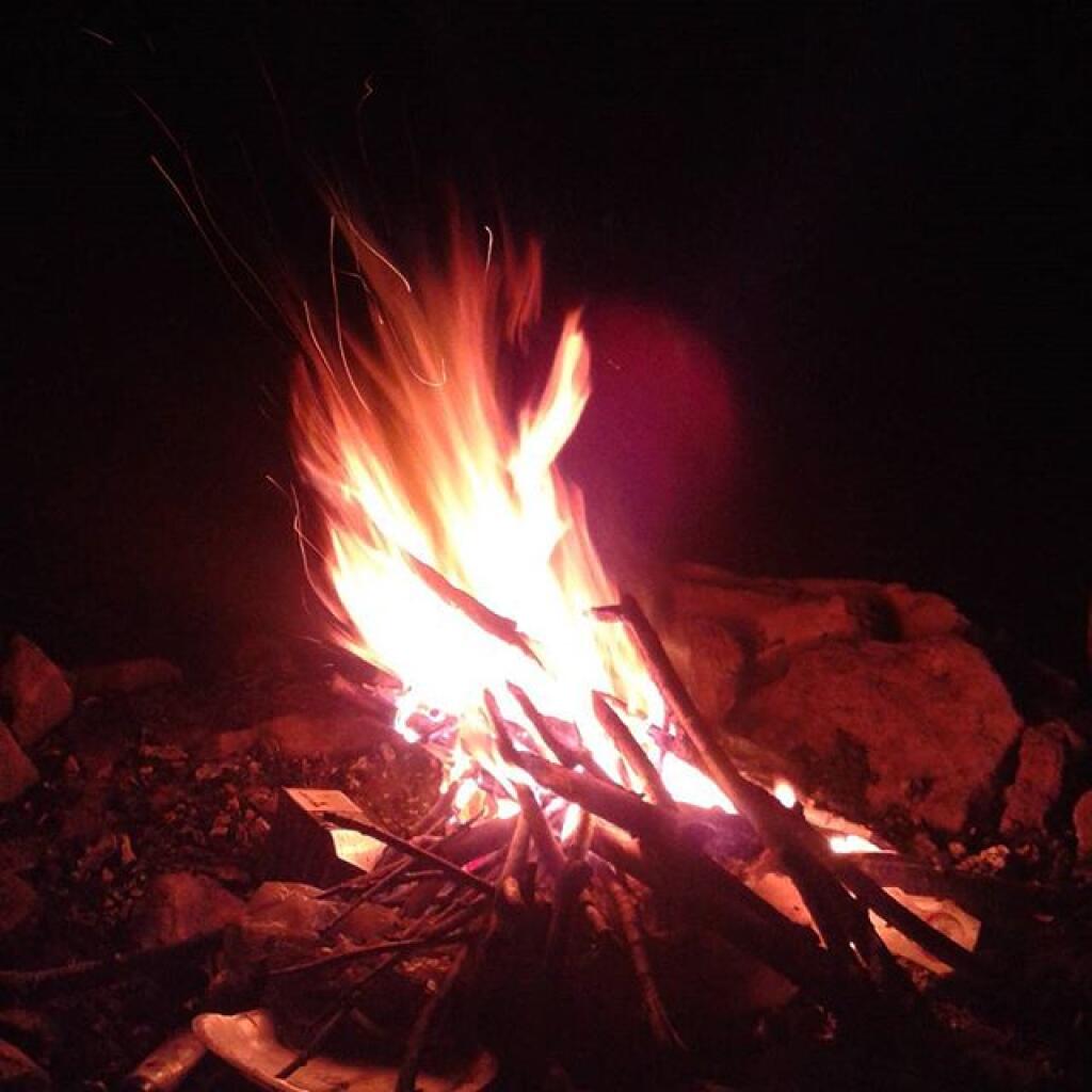 Photo: Last night's fire