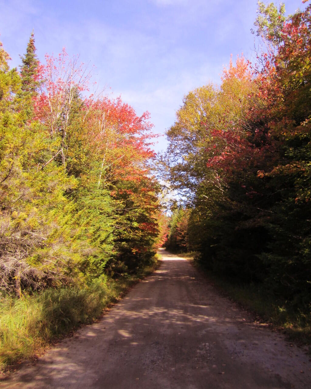 Photo: Near Campsite 25 Photo: Near Campsite 25
